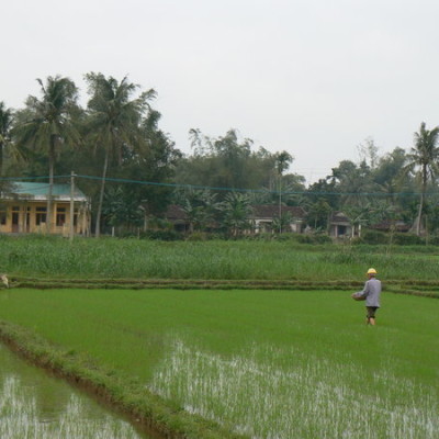 Hoi An - My Lai History and My Son Holly land