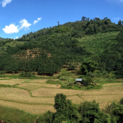 Laos