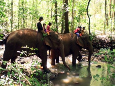 Modulkiri trek and elephant ride