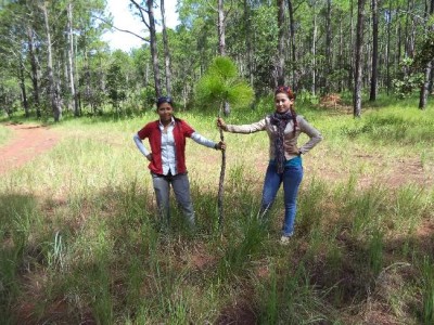 kirirom national park trekking tour