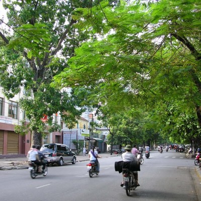 Hanoi street